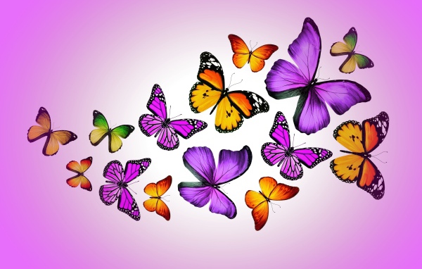 Много разноцветных бабочек на сиреневом фоне, 3д графика