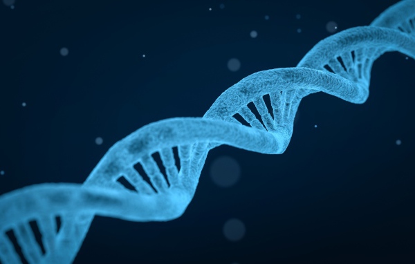 The blue structure of DNA molecules