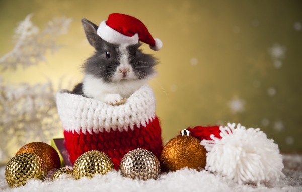 Кролик в новогодней шапке и елочными игрушками