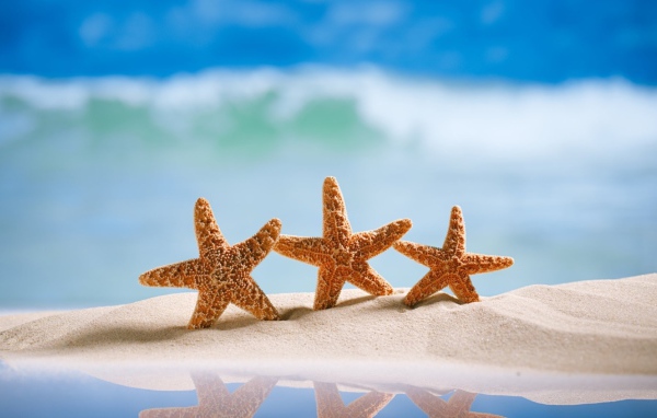 Три оранжевых морских звезды на желтом песке на море