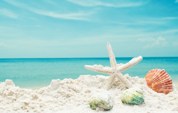 Белая морская звезда на белом песке с ракушками на фоне голубого неба