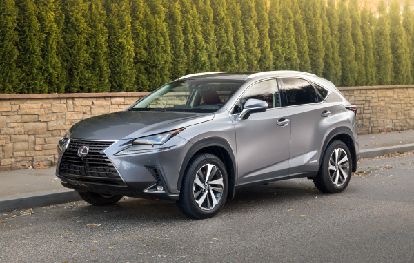 Японский серебристый внедорожник Lexus NX 300h, 2018 года