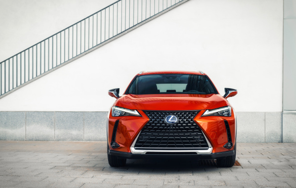 Красный автомобиль Lexus UX 250h, 2019 года вид спереди