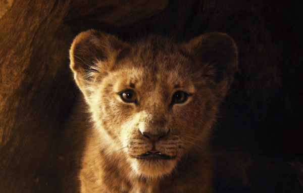 Львенок Симба персонаж нового мультфильма Король Лев, 2019