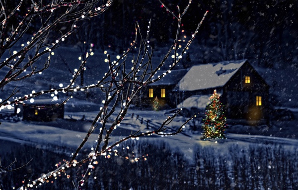 Beautiful decorated trees for Christmas in the village in winter
