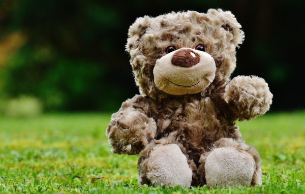 Милый плюшевый мишка сидит на зеленой траве