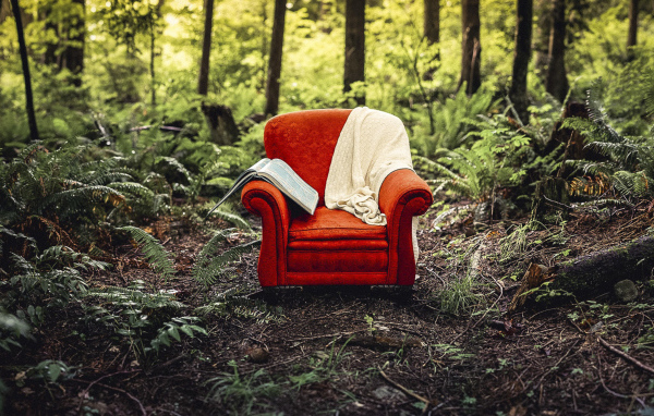 Старое красное кресло с книгой и пледом в лесу 