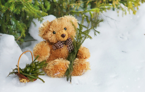 Медвежонок Тедди с веткой ели сидит на снегу