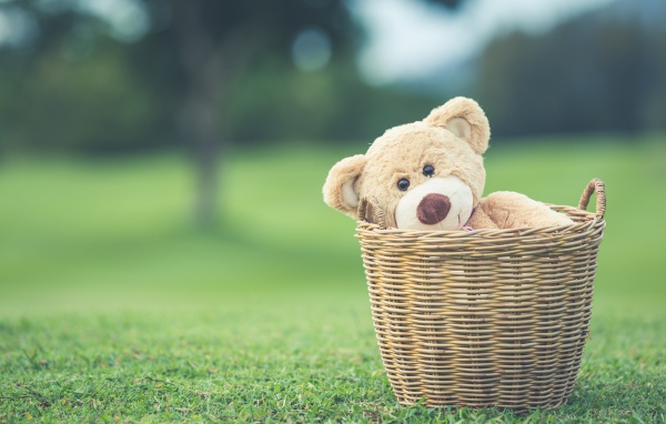 Плюшевый медведь в корзине на зеленой траве