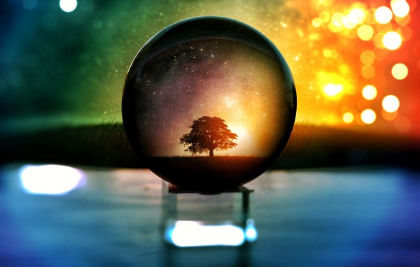 Дерево  отражается в стеклянном шаре