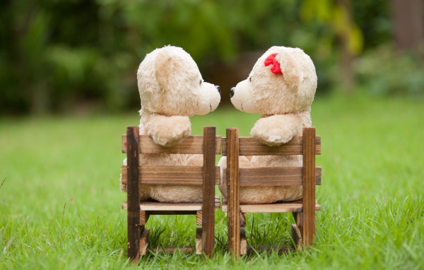 Два плюшевых мишки на деревянных креслах на зеленой траве
