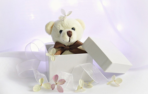 Белый плюшевый медведь в подарочной коробке