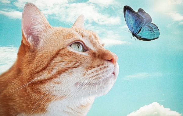 Нарисованный рыжий кот с голубой бабочкой 