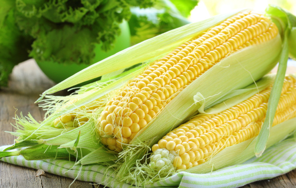 Свежие кочаны кукурузы на столе 