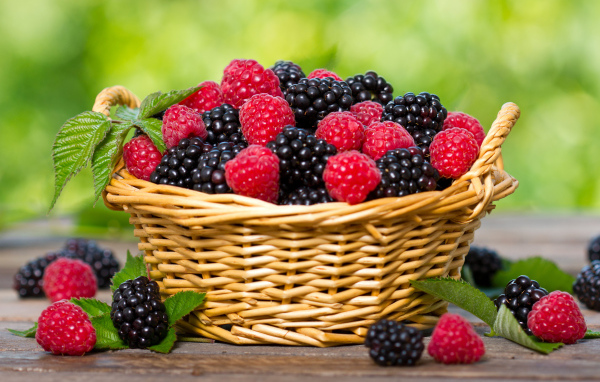 Корзина с ягодами малины и ежевики