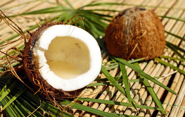 Разбитый кокос лежит на зеленых пальмовых листьях