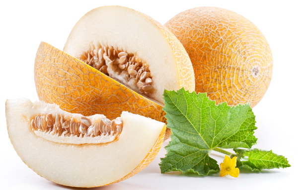 Спелая желтая дыня на белом фоне