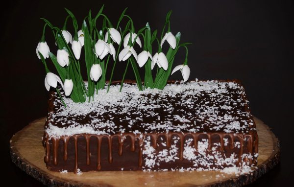 Шоколадный торт с кокосовой стружкой и цветами подснежника