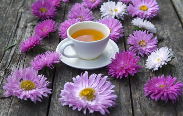 Белая чашка чая на столе с астрами