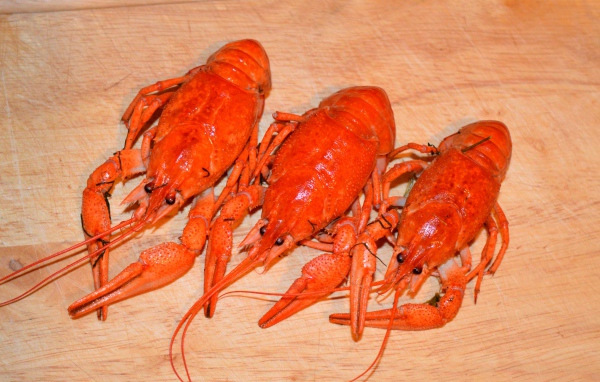 Три красных вареных рака лежат на деревянном столе