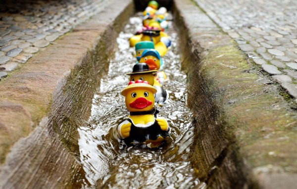 Игрушки утята в водосточной канаве