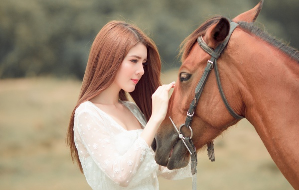 Красивая длинноволосая азиатка гладит лошадь