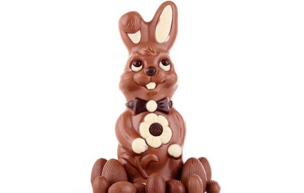Шоколадный пасхальный кролик с яйцами на белом фоне