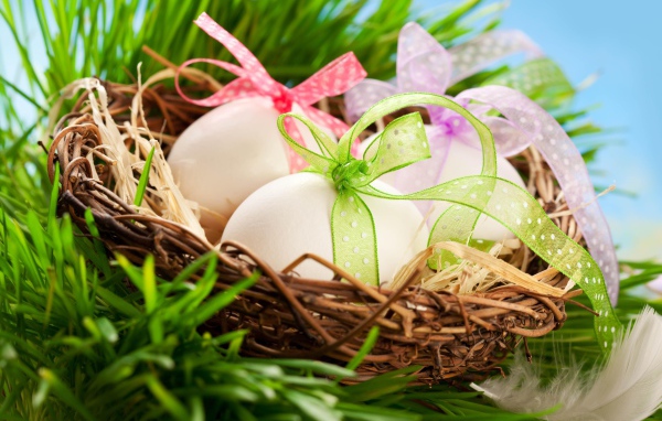 Яйца с бантами в гнезде на Пасху
