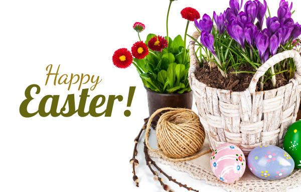 Весенние цветы и крашеные яйца на Пасху