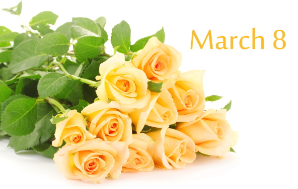 Красивый букет роз на 8 марта на белом фоне