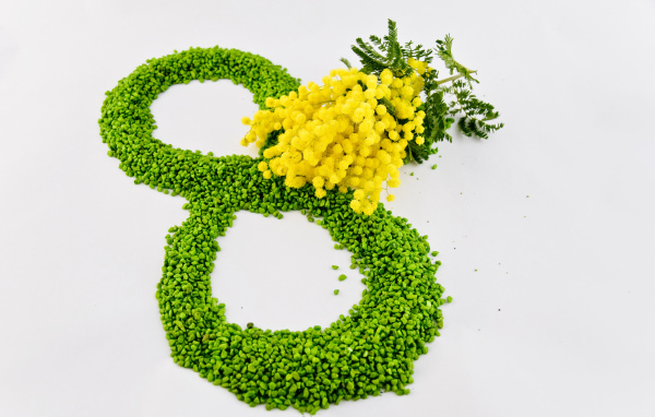 8 марта и ветка мимозы на сером фоне