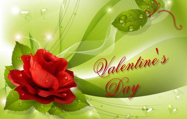 Графическая открытка с розой и надписью на день Святого Валентина