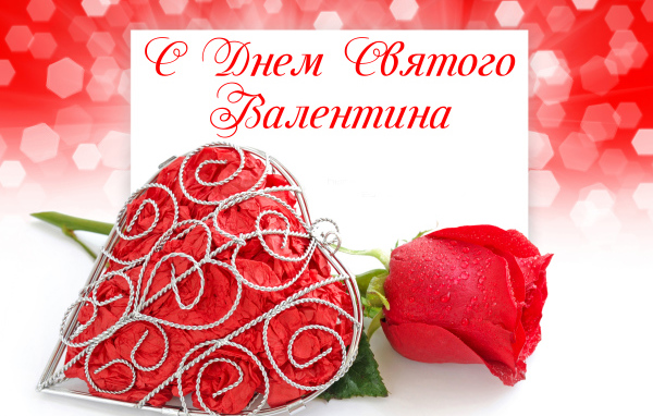 Красная роза и большое красное сердце на День Святого Валентина