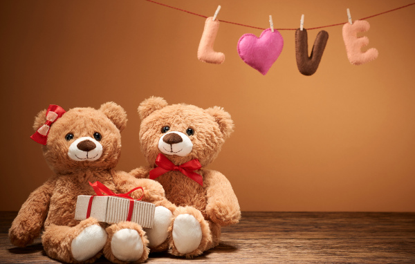 Two teddy bears with a gift for Valentine's Day