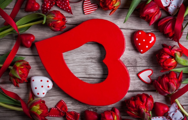 Большое красное сердце с красными тюльпанами