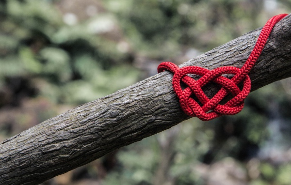 Креативное сердце из красной веревки на дереве