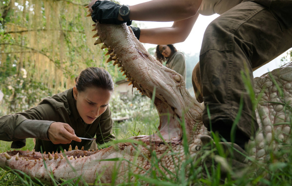 Кадр из фильма Аннигиляция, 2018