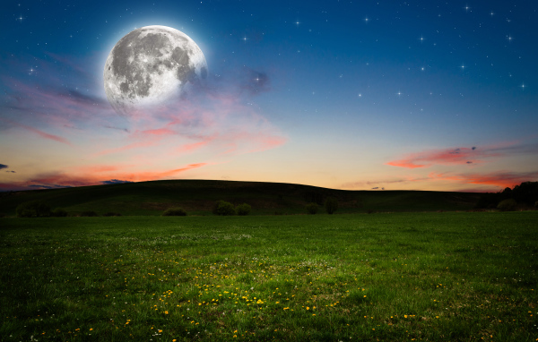 Большая луна в небе над зеленым лугом