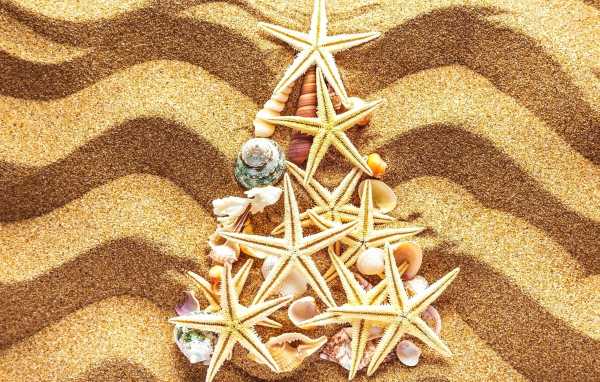 Fir-tree from starfishes on multi-colored sand