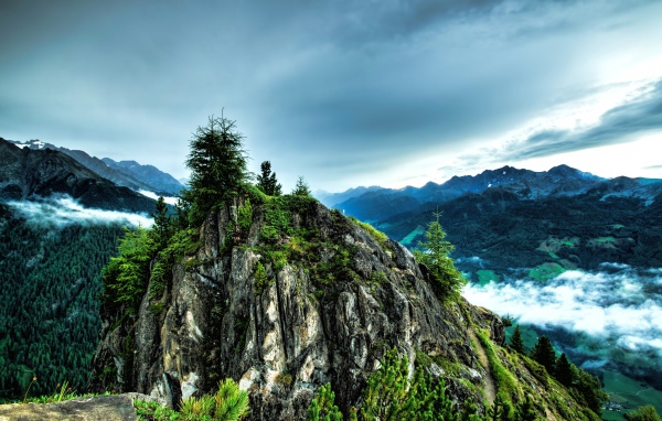 Ели на вершине скалы под  пасмурным небом 