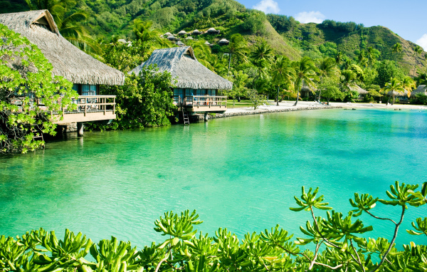 Дома на сваях на зеленом тропическом пляже