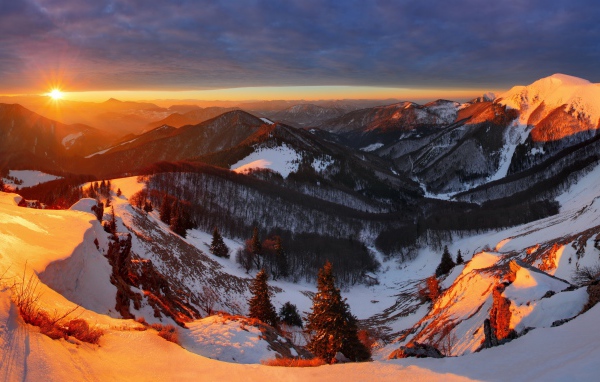 Заснеженные горы, покрытые деревьями в лучах солнца на закате