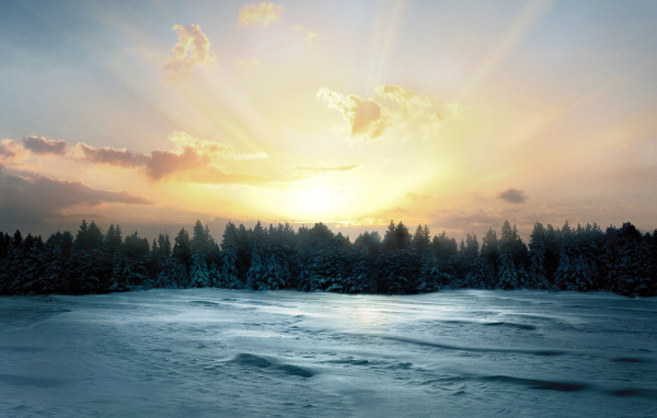 Восход солнца над заснеженным лесом