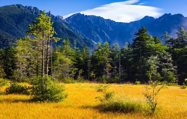 Вид на горы и лес под голубым небом, Япония