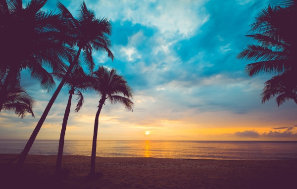Закат солнца в небе на тропическом пляже