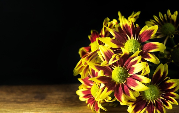 Букет газании на деревянном столе