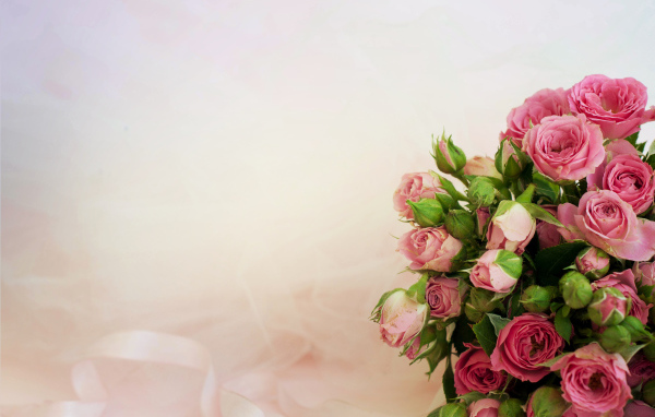 Букет розовых роз, шаблон для открытки 