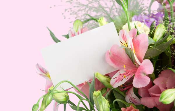 Альстрёмерия с белым листом бумаги, шаблон для открытки