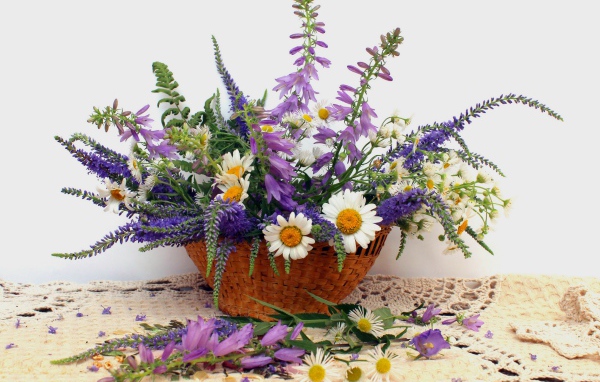 Корзина красивых полевых цветов на сером фоне