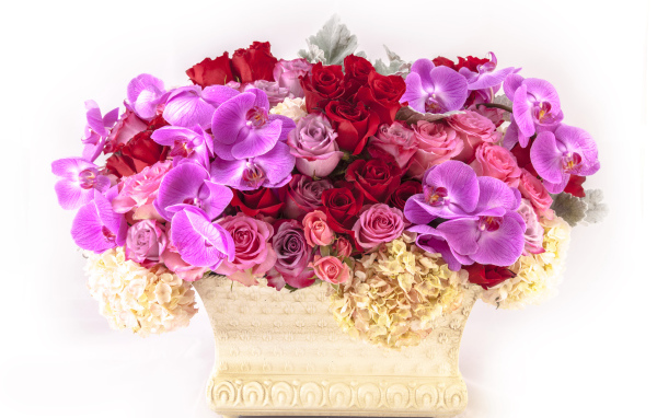 Корзина с цветами гортензии, розы и орхидеи на белом фоне